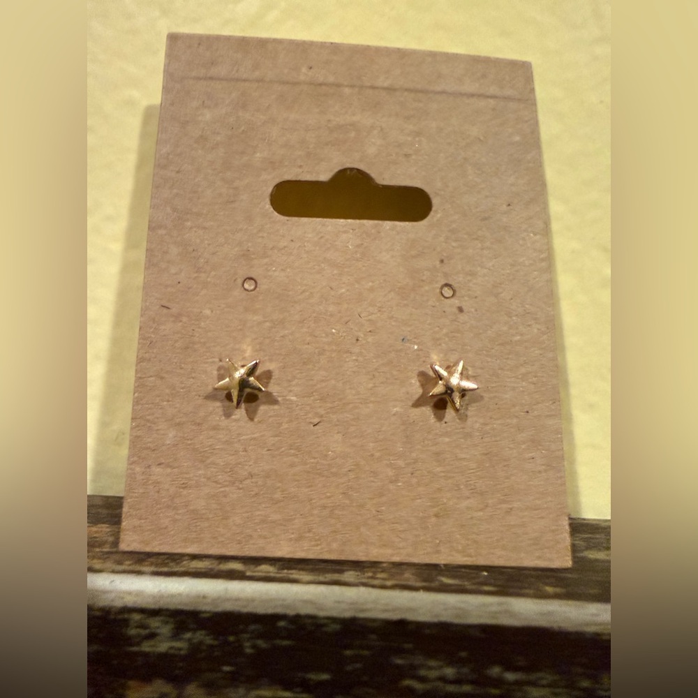 Wild Fable Gold Star Earrings